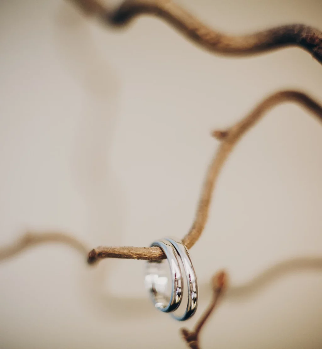 A pair of wedding rings on a branch.